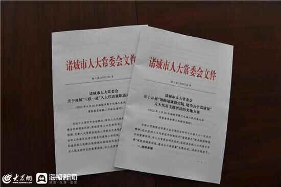 诸城市人大常委会：搭建“两平台”抓住“两条线”人大代表履职更加务实有效