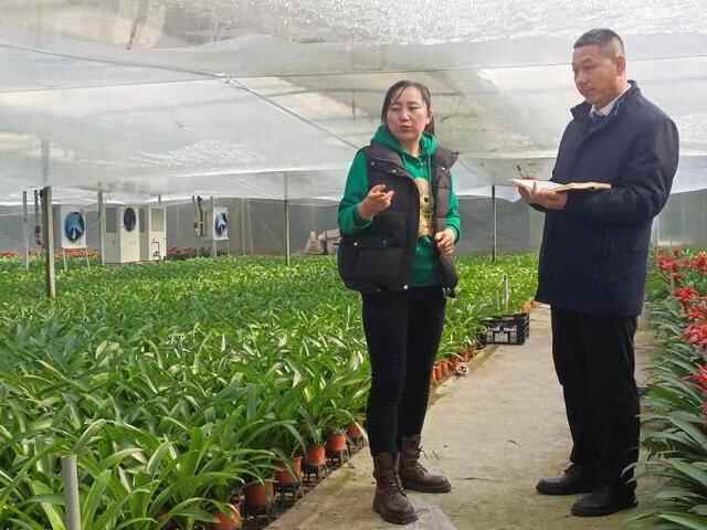 潍坊：新金融助推传统农业迭代升级