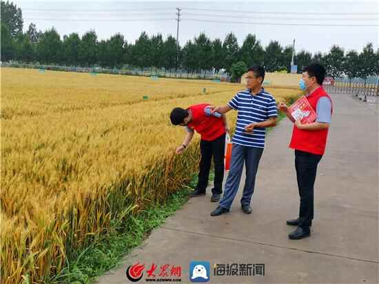 高密农商银行党委：“三项举措”为乡村振兴注入金融活力