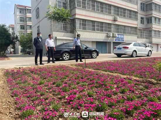 全域大花园 缤纷大家洼 | 种植超38万棵！潍坊滨海区大家洼街道以绿化妆点发展新画卷