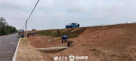 全域大花园 缤纷大家洼 | 种植超38万棵！潍坊滨海区大家洼街道以绿化妆点发展新画卷