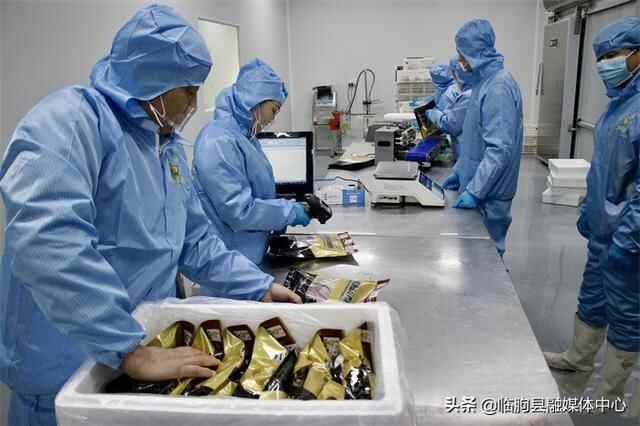 深入贯彻省党代会精神 | 临朐为“中华预制菜产业第一城”增添“一桌好饭”