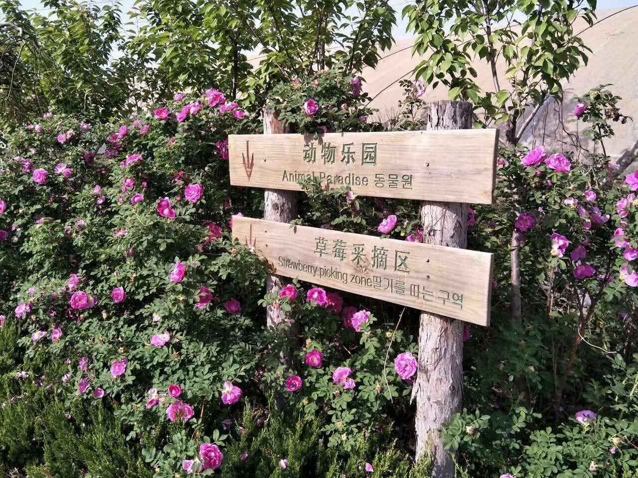 坊子之约｜大美坊子！活力之姿~