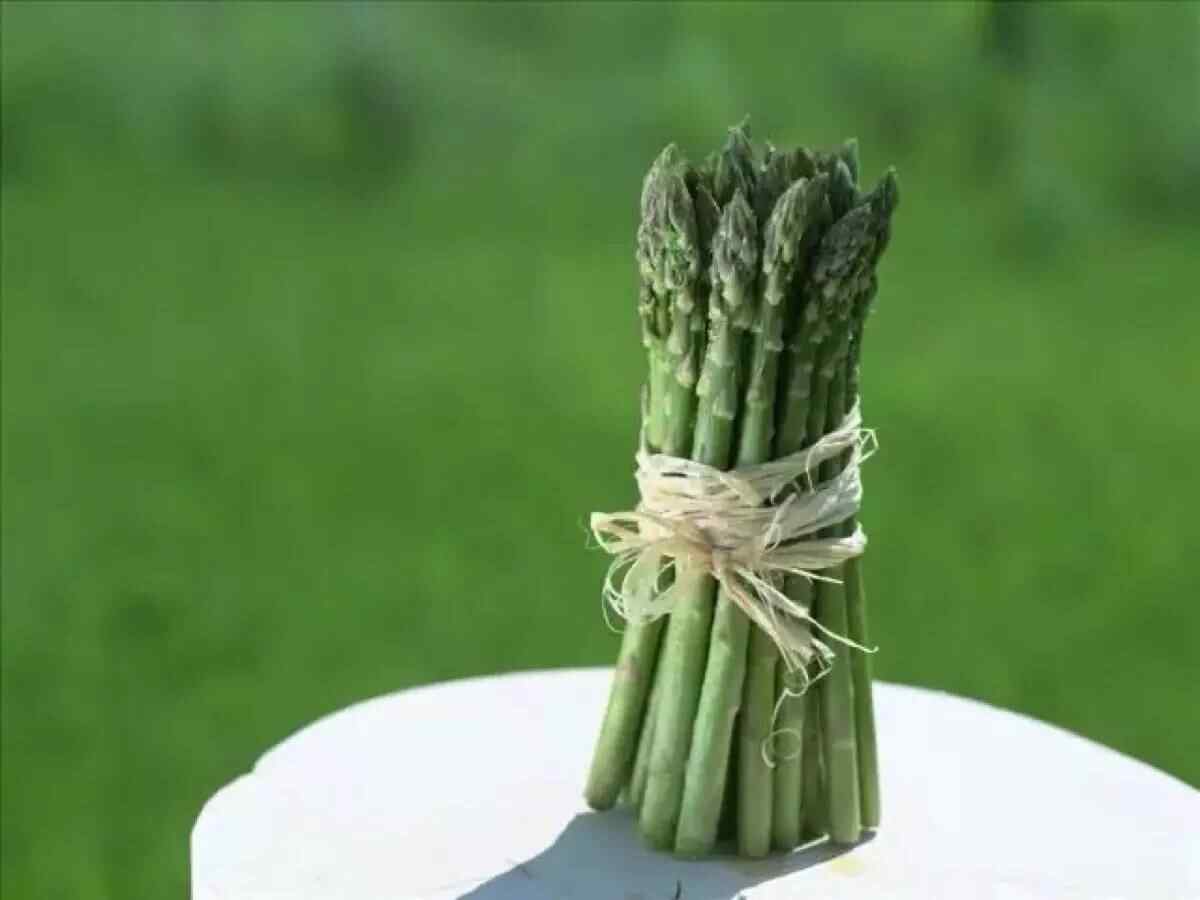 坊子之约｜大美坊子！活力之姿~