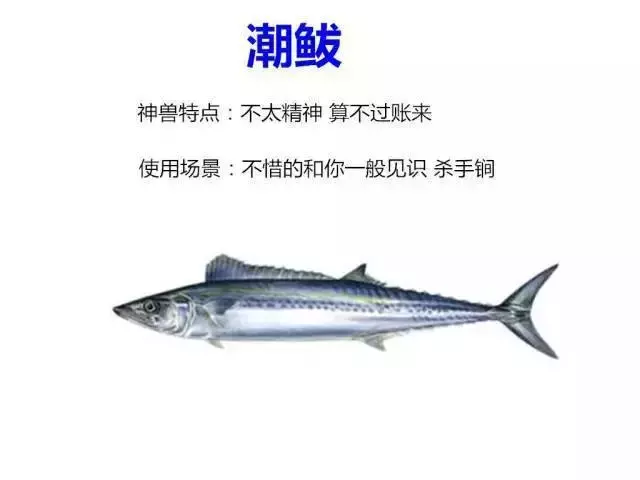 正宗坊子土著应有的特质！你占几条？