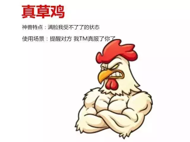 正宗坊子土著应有的特质！你占几条？