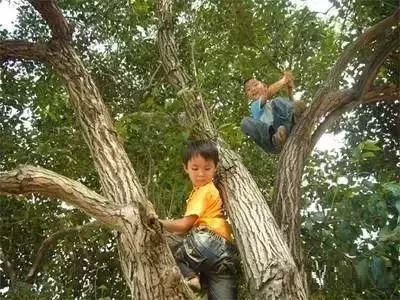 正宗坊子土著应有的特质！你占几条？