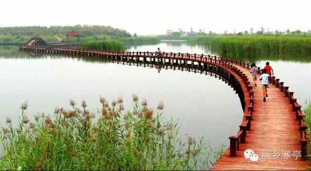 旅游｜寒亭区高里街道“湿地明珠”—西**亭村！