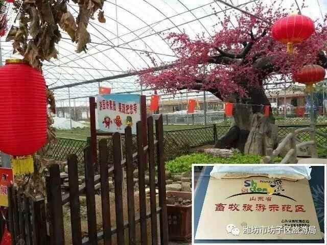 2018贺年会｜春光恰好，年味正浓—回坊子，原汁原味过大年！