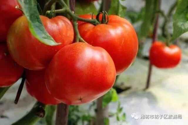 2018贺年会｜春光恰好，年味正浓—回坊子，原汁原味过大年！