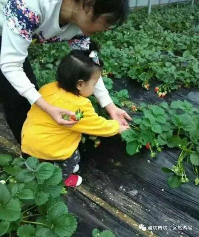 2018贺年会｜春光恰好，年味正浓—回坊子，原汁原味过大年！