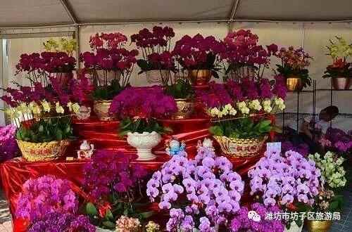 2018贺年会｜春光恰好，年味正浓—回坊子，原汁原味过大年！