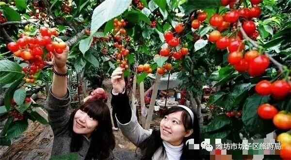 春光恰好，年味正浓——回坊子，原汁原味过大年！