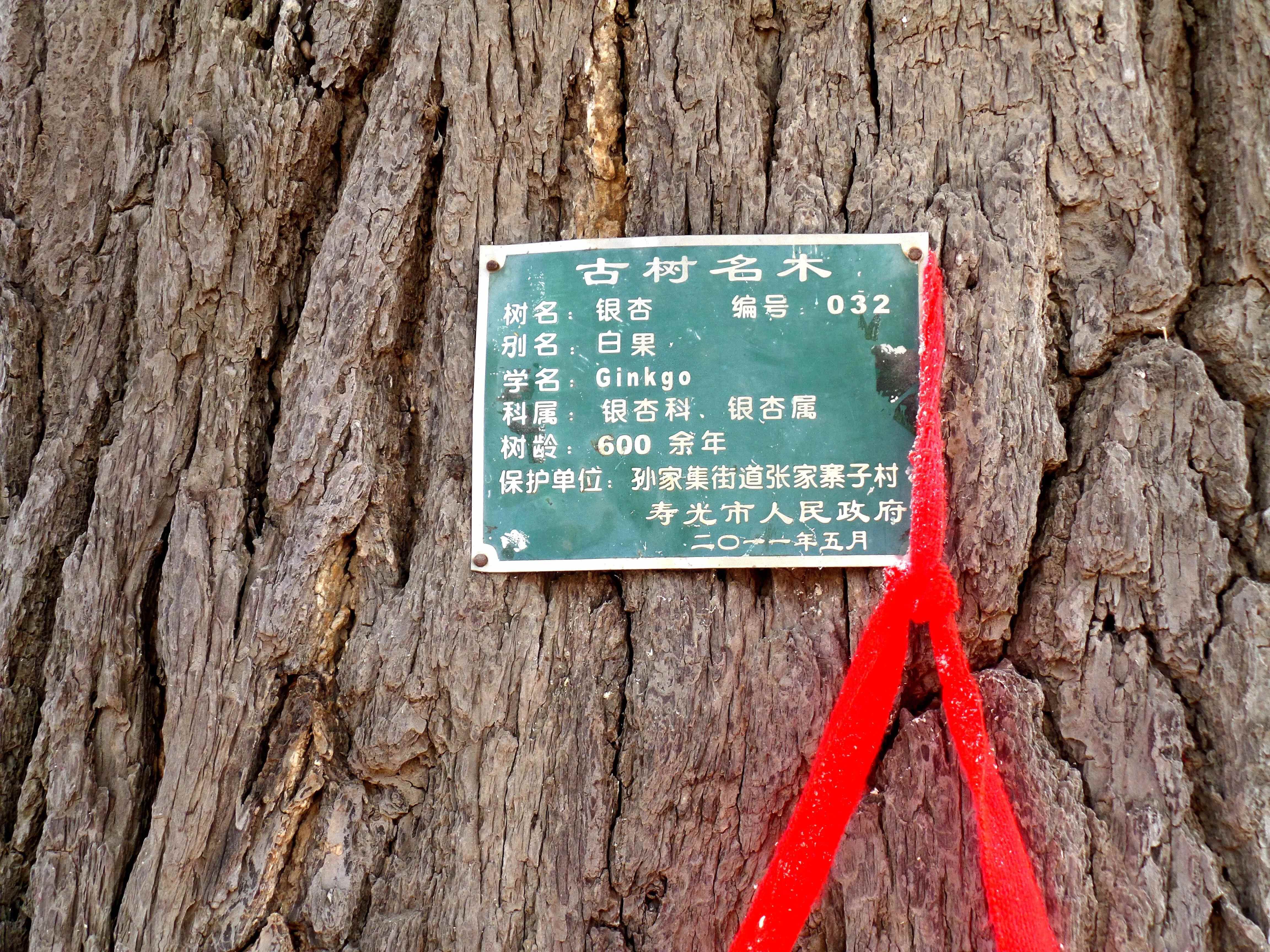城市记忆‖聊一聊寿光的“古八景”和“新八景”