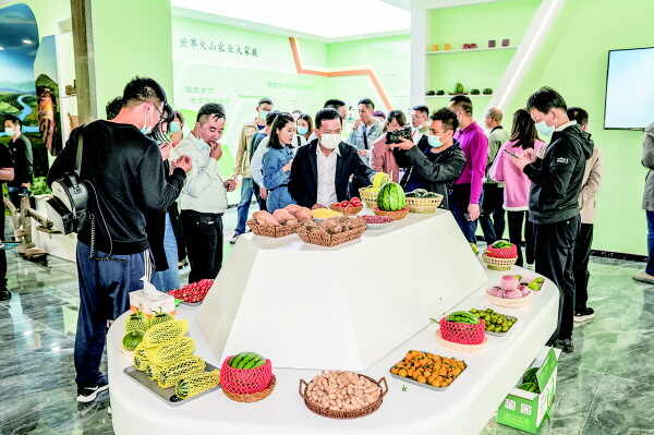 观火山奇景 品八鲜美食 | 60多位专家及嘉宾开启“火山农八鲜”尝鲜之旅
