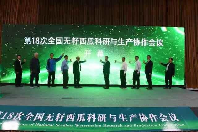 坐标昌乐！火山西瓜IP诞生地迎来又一机遇