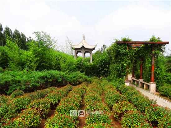 「乡村旅游」昌邑乡村旅游推荐