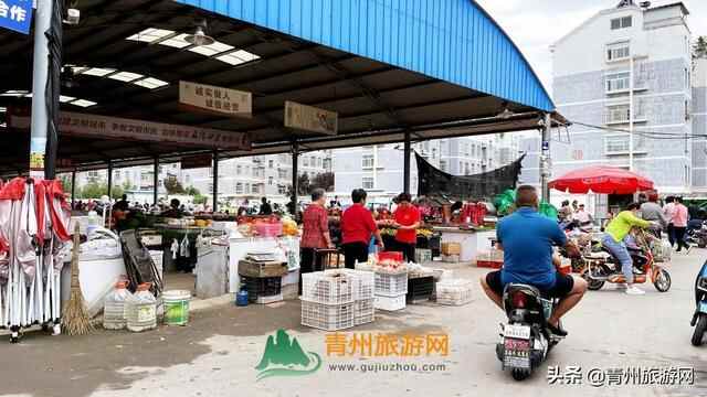 青州城东最大的菜市场，逛它比喝奶茶解压