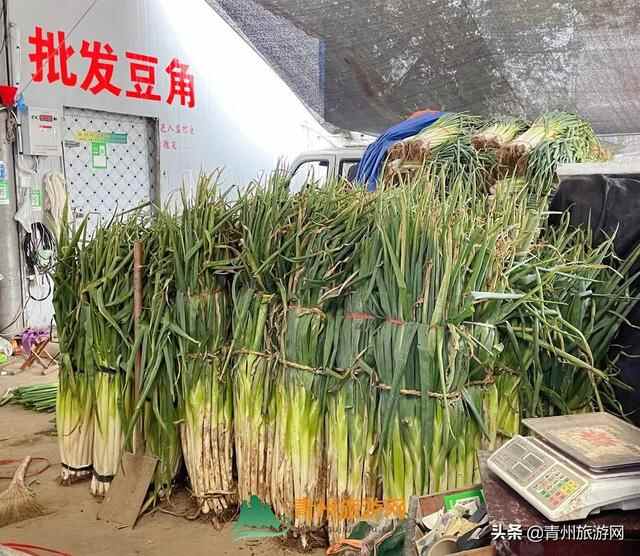青州城东最大的菜市场，逛它比喝奶茶解压