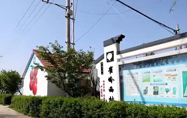崔西村这种蔬菜酸甜可口，太解馋了