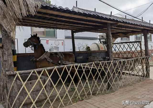 潍坊创建“东亚文化之都”丨走进安丘驿站文化主题特色村——“孙十里村”