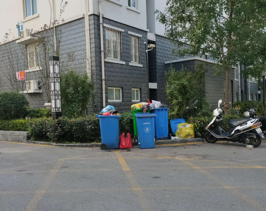 ​济宁​某小区毛毛虫成灾,该谁来管