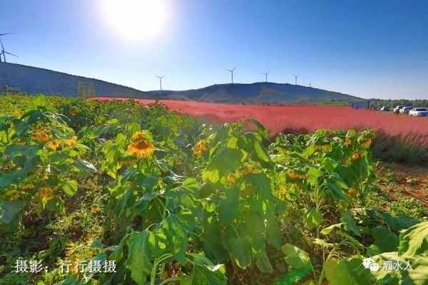 中秋节泗水随拍最美月亮～这几个地方最靓丽、最热闹、最幸福，最美的风景在后面……