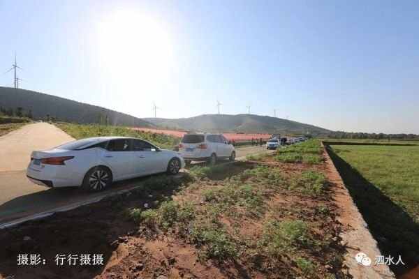 中秋节泗水随拍最美月亮～这几个地方最靓丽、最热闹、最幸福，最美的风景在后面……