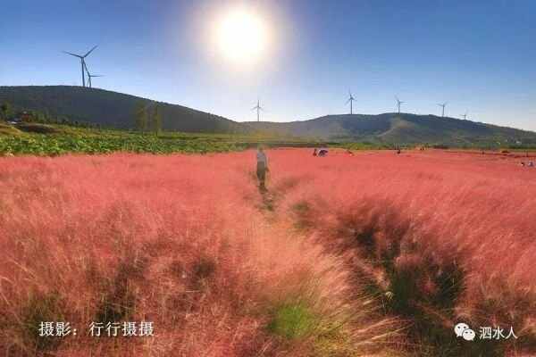 中秋节泗水随拍最美月亮～这几个地方最靓丽、最热闹、最幸福，最美的风景在后面……