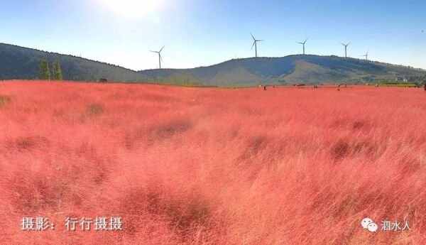 中秋节泗水随拍最美月亮～这几个地方最靓丽、最热闹、最幸福，最美的风景在后面……