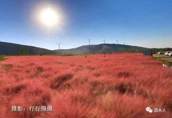 中秋节泗水随拍最美月亮～这几个地方最靓丽、最热闹、最幸福，最美的风景在后面……