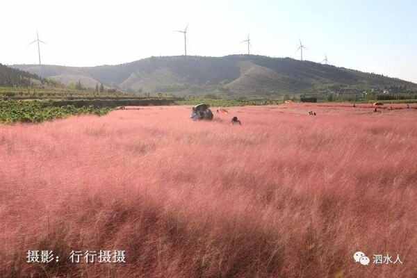 中秋节泗水随拍最美月亮～这几个地方最靓丽、最热闹、最幸福，最美的风景在后面……