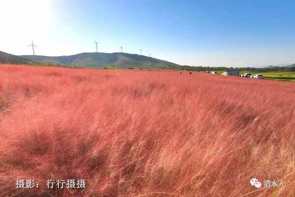 中秋节泗水随拍最美月亮～这几个地方最靓丽、最热闹、最幸福，最美的风景在后面……