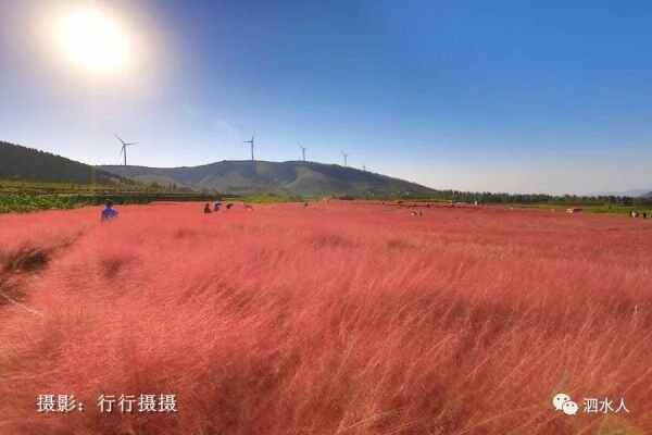中秋节泗水随拍最美月亮～这几个地方最靓丽、最热闹、最幸福，最美的风景在后面……