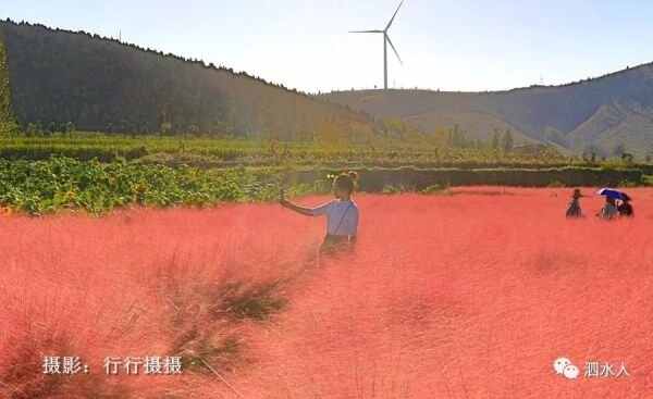 中秋节泗水随拍最美月亮～这几个地方最靓丽、最热闹、最幸福，最美的风景在后面……