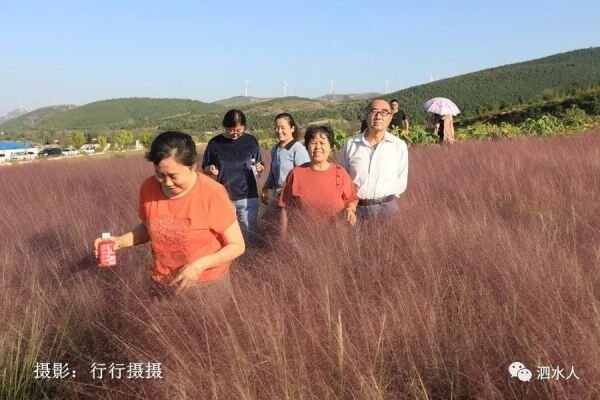 中秋节泗水随拍最美月亮～这几个地方最靓丽、最热闹、最幸福，最美的风景在后面……