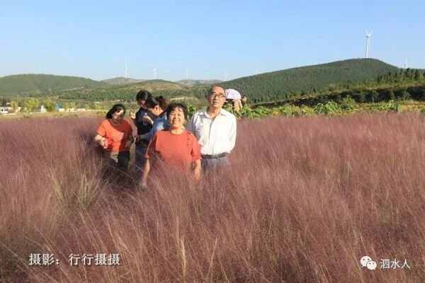 中秋节泗水随拍最美月亮～这几个地方最靓丽、最热闹、最幸福，最美的风景在后面……