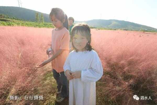 中秋节泗水随拍最美月亮～这几个地方最靓丽、最热闹、最幸福，最美的风景在后面……