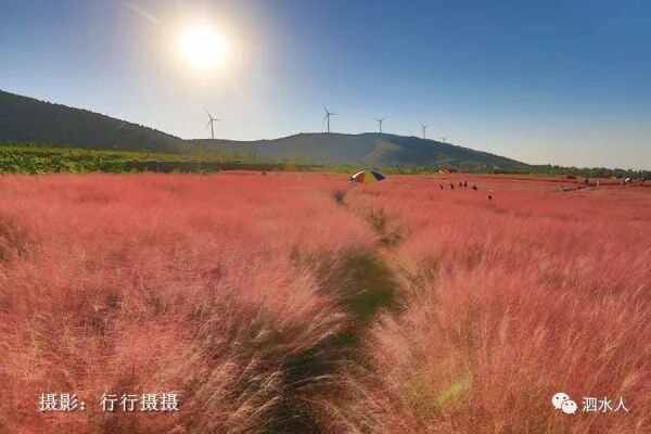 中秋节泗水随拍最美月亮～这几个地方最靓丽、最热闹、最幸福，最美的风景在后面……