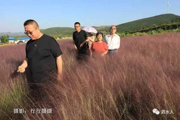 中秋节泗水随拍最美月亮～这几个地方最靓丽、最热闹、最幸福，最美的风景在后面……