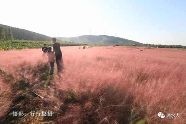 中秋节泗水随拍最美月亮～这几个地方最靓丽、最热闹、最幸福，最美的风景在后面……
