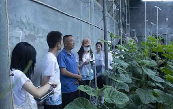 青岛大学“三下乡”团队在济宁曲阜市尼山镇开展实践调...