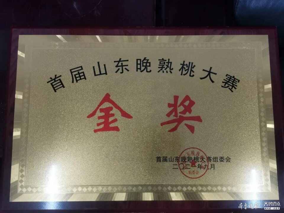 享约蜜桃盛会,​济宁​“香桃”荣获金奖