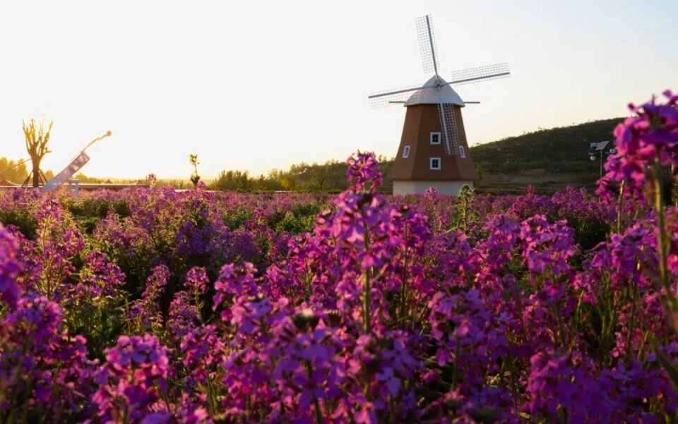 ​济宁​拓展训练基地