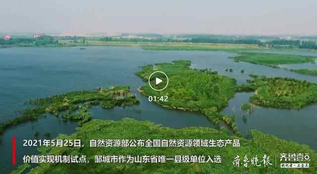 聚力改革创新，济宁生态价值实现等重点任务取得阶段性...