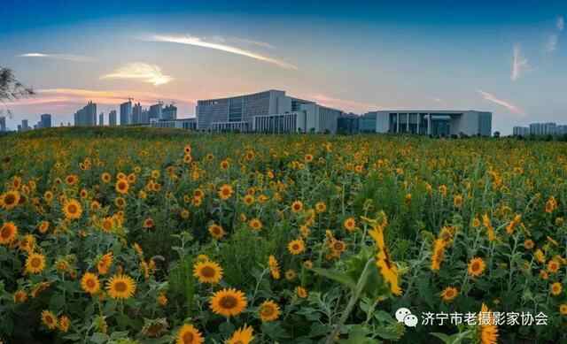 祝愿祖国 繁荣昌盛—济宁市老摄协推出网上会员作品展