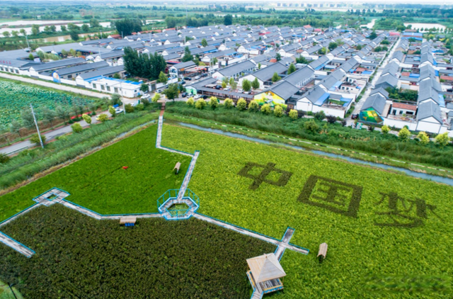 国庆长假赏秋“乡”！这些齐鲁醉美村镇等您来！