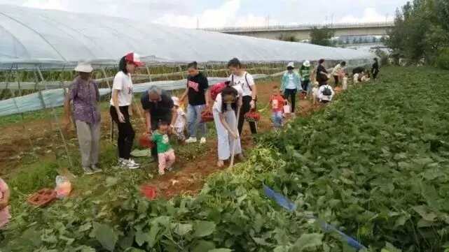 中国红·齐鲁行 | 十一出游，请带上这份「济宁打卡地图」！