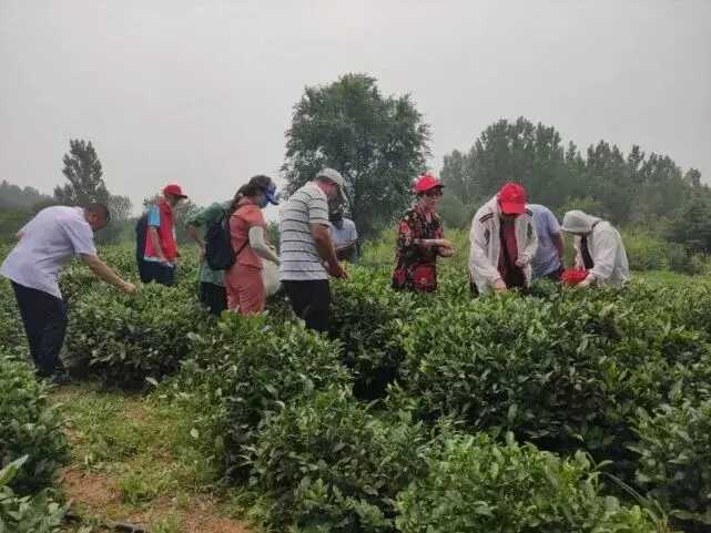 中国红·齐鲁行 | 十一出游，请带上这份「济宁打卡地图」！