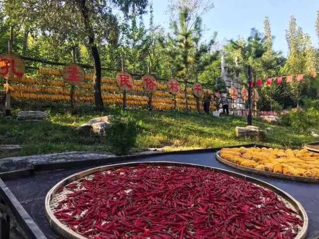 中国红·齐鲁行 | 十一出游，请带上这份「济宁打卡地图」！